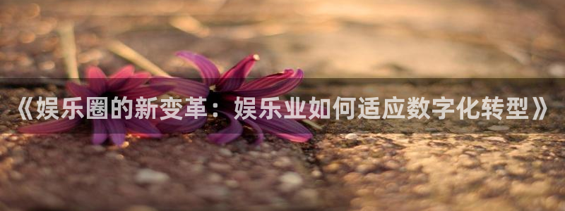 巅峰国际z官网入口：《娱乐圈的新变革：娱乐业如何适应数字化转型》