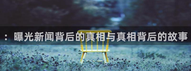邢台巅峰国际：：曝光新闻背后的真相与真相背后的故事
