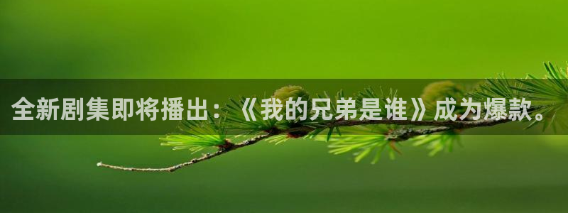 巅峰国际app登录入口
