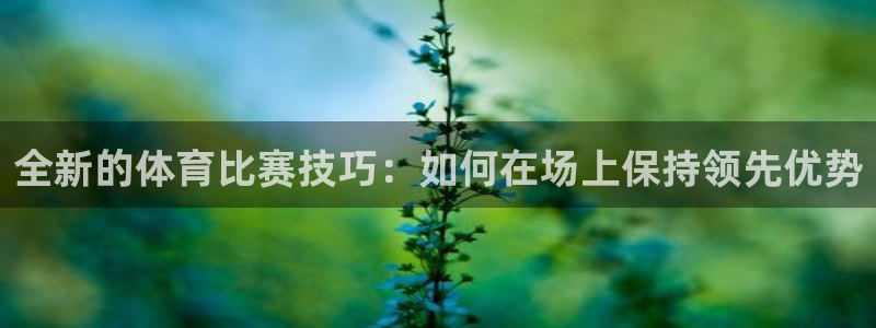 巅峰国际下载链接入口：全新的体育比赛技巧：如何在场上保持领先优势