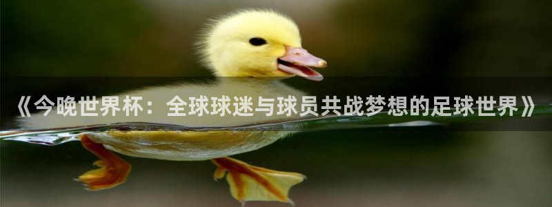 巅峰国际官网入口网址：《今晚世界杯：全球球迷与球员共战梦想的足球世界》