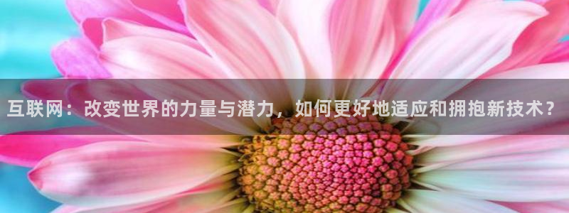pg巅峰国际app下载：互联网：改变世界的力量与潜力，如何更好地适应和拥抱新技术？