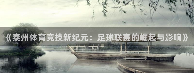 广兴巅峰国际小区：《泰州体育竞技新纪元：足球联赛的崛起与影响》
