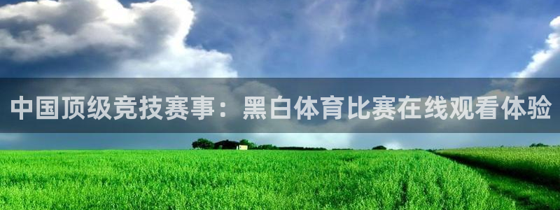 巅峰国际app下载：中国顶级竞技赛事：黑白体育比赛在线观看体验