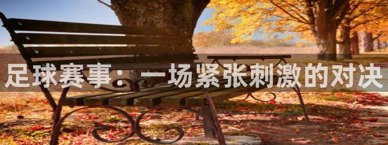 巅峰国际平台靠谱吗：足球赛事：一场紧张刺激的对决