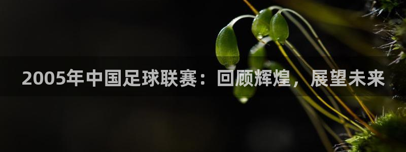 巅峰国际pg下载app怎么用：2005年中国足球联赛：回顾辉煌，展望未来