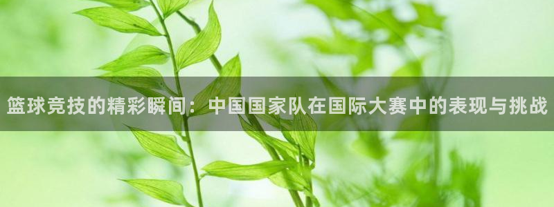 巅峰国际pg：篮球竞技的精彩瞬间：中国国家队在国际大赛中的表现与挑战