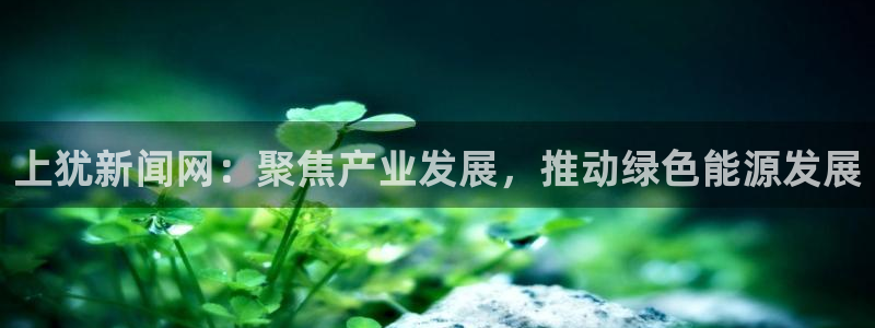 巅峰国际app官方下载入口：上犹新闻网：聚焦产业发展，推动绿色能源发展
