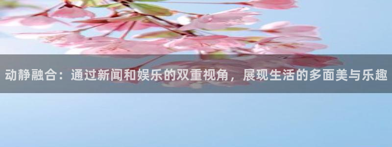 巅峰国际z官网入口：动静融合：通过新闻和娱乐的双重视角，展现生活的多面美与乐趣