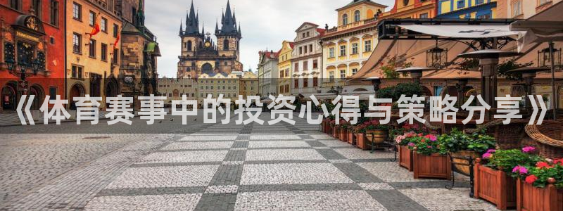 巅峰国际链接下载：《体育赛事中的投资心得与策略分享》